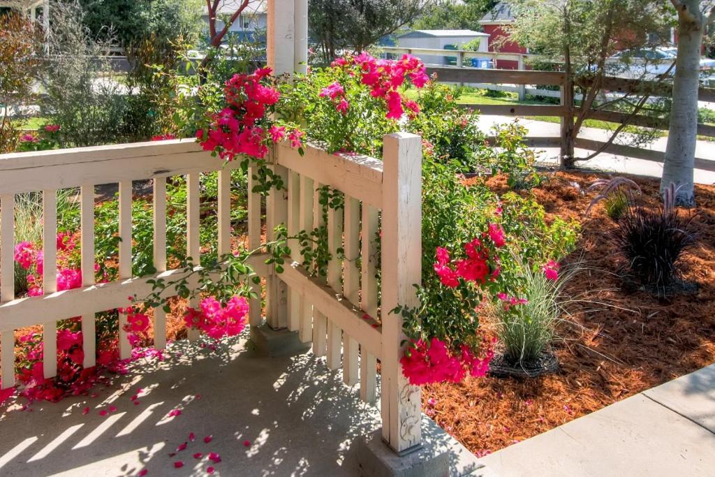 Serene Bungalow-Style Home In Point Reyes Station! 외부 사진